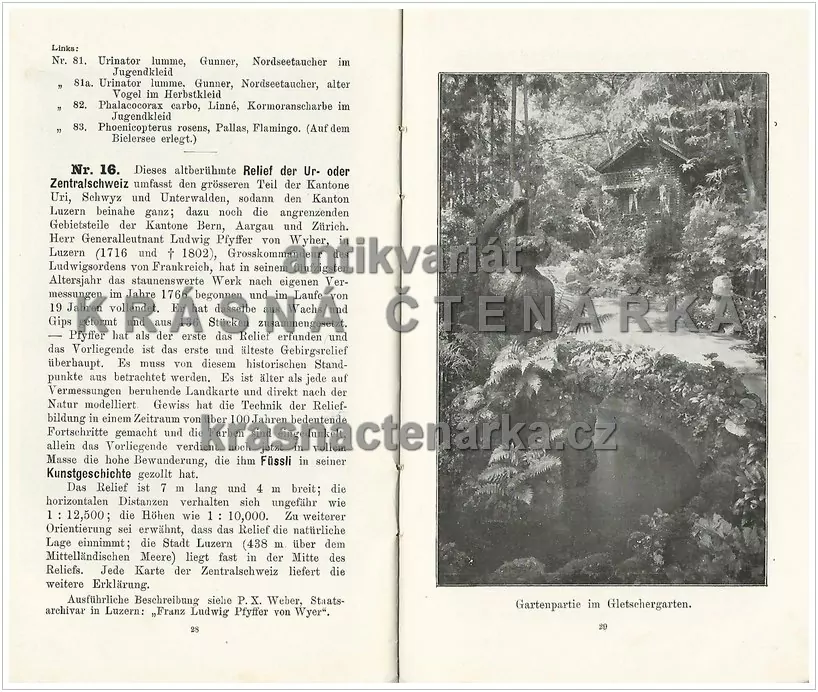 GLETSCHERGARTEN IN LUZERN