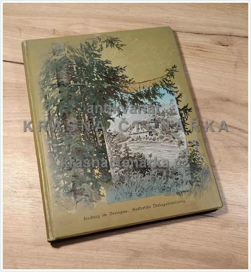 DER VOGT AUF MÜHLSTEIN (Eine Erzählung aus dem Schwarzwald) (Hansjakob Heinrich, il. Hafemann Wilhem)