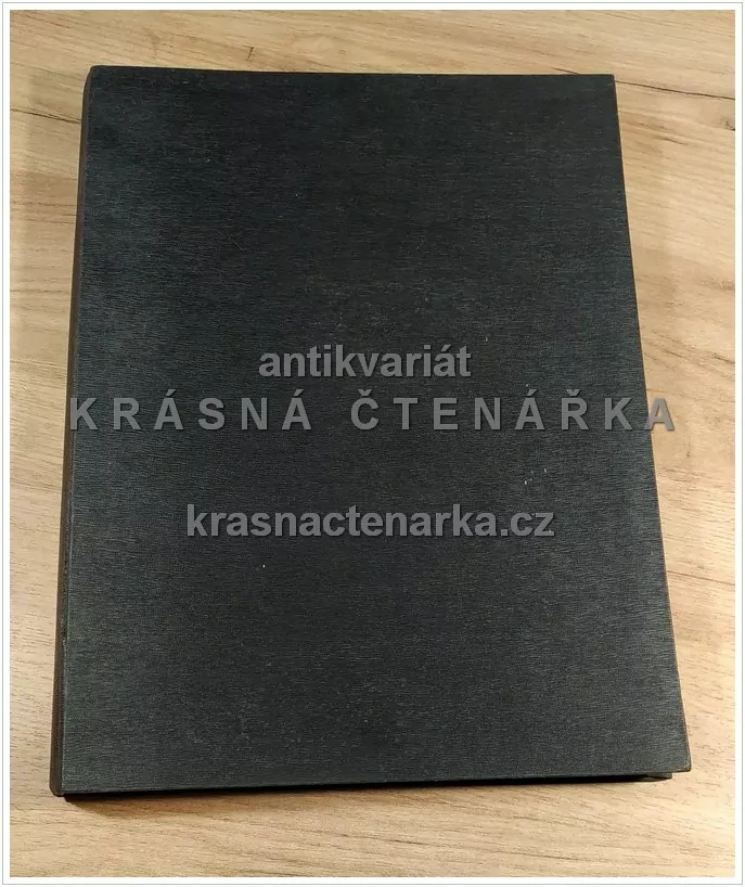 BISMARCK – DENKMAL FÜR DAS DEUTSCHE VOLK (Garlepp Bruno)