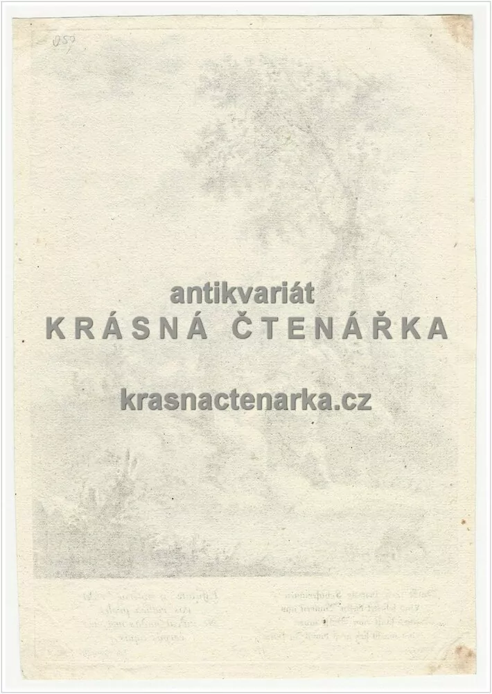 Duckt … No. 118 (Francesco Zuccarelli / Georg Hertel, mědirytina) 