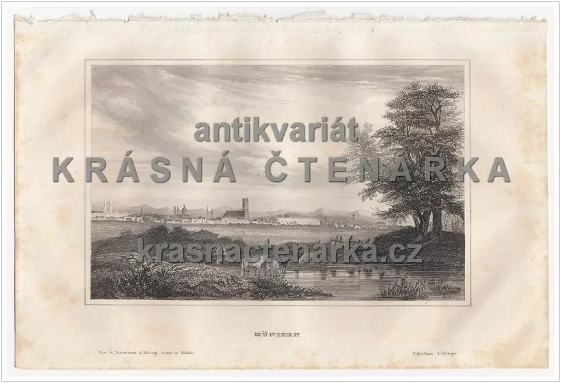 MÜNCHEN(ocelorytina)