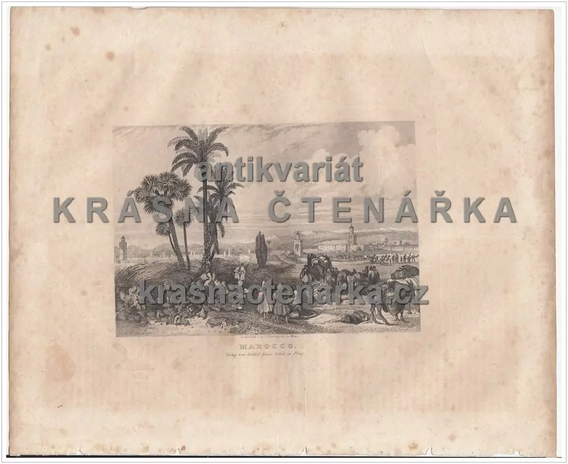 MAROCCO(Zechmayer / Haase, ocelorytina)