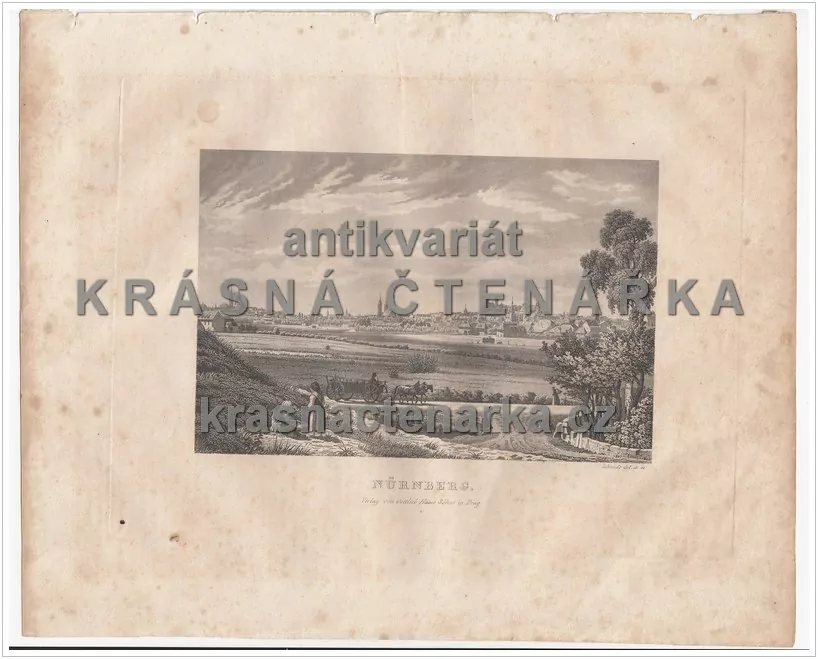 NÜRNBERG(Schmidt / Haase, ocelorytina)