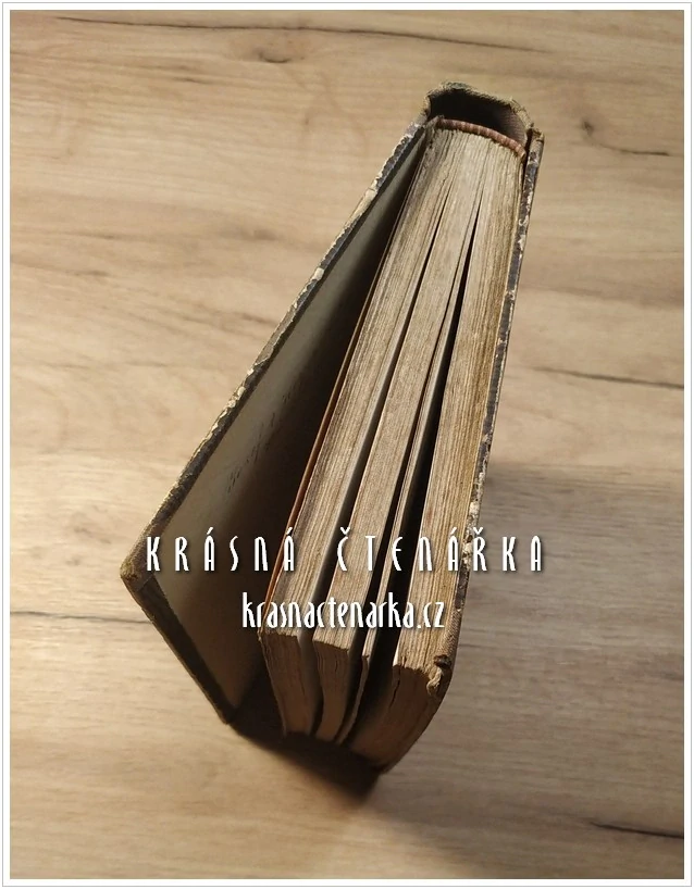 DER RADIKAL ARZT (Gerke Clemens), vydáno 1866