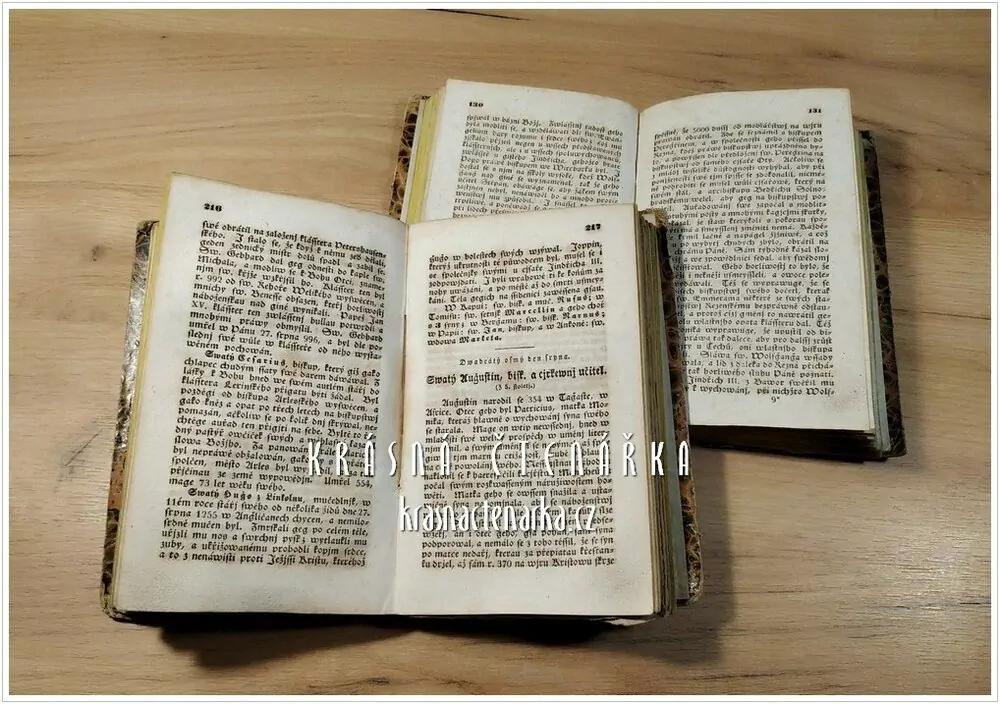 POPSÁNÍ ŽIWOTA A SKUTKŮ SWATÝCH A SWĚTIC BOŽÍCH (Dle Michala Ginzla a Františka Deinla ) ( Pohořelý M.)