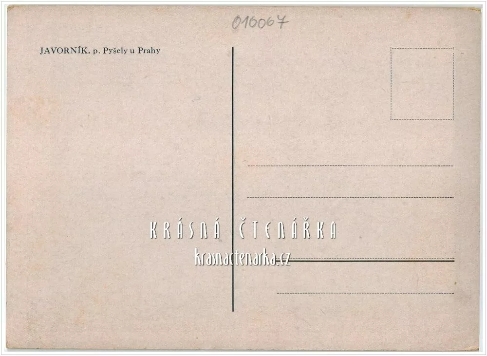JAVORNÍK - ČTYŘKOLY, Pension Javorník
