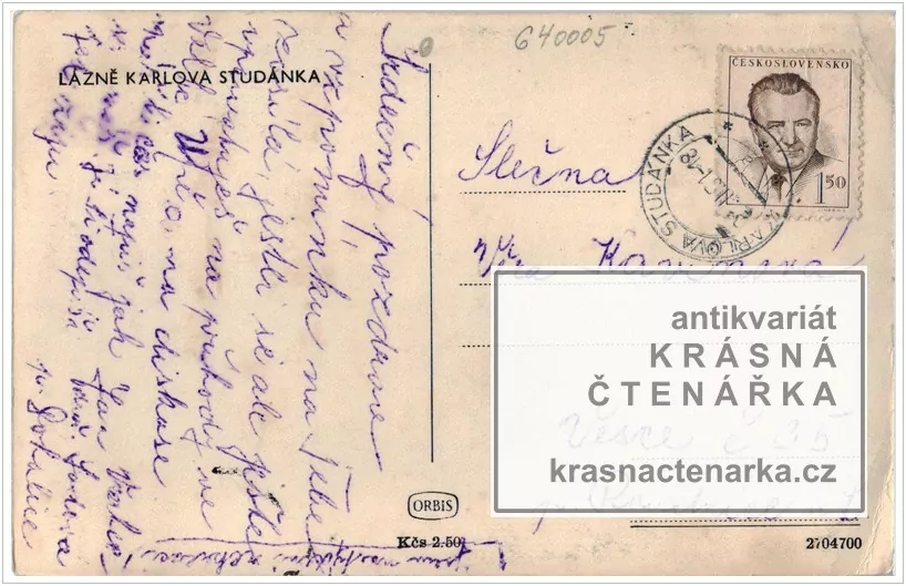 KARLOVA STUDÁNKA, Léčebný ústav Libuše