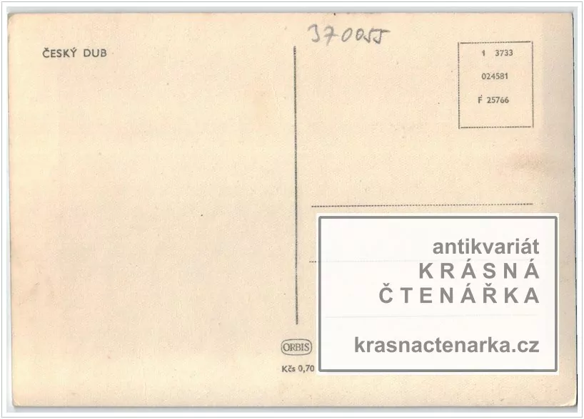ČESKÝ DUB