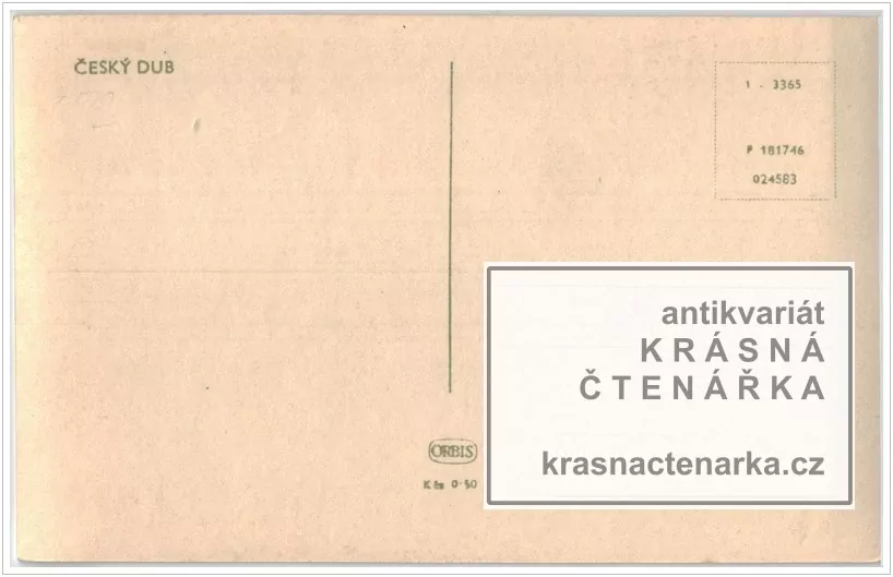 ČESKÝ DUB, Domov důchodců