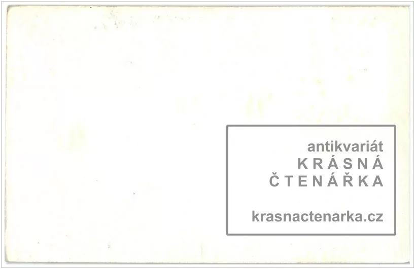 Hora a rozhledna JEŠTĚD (návrh ?)