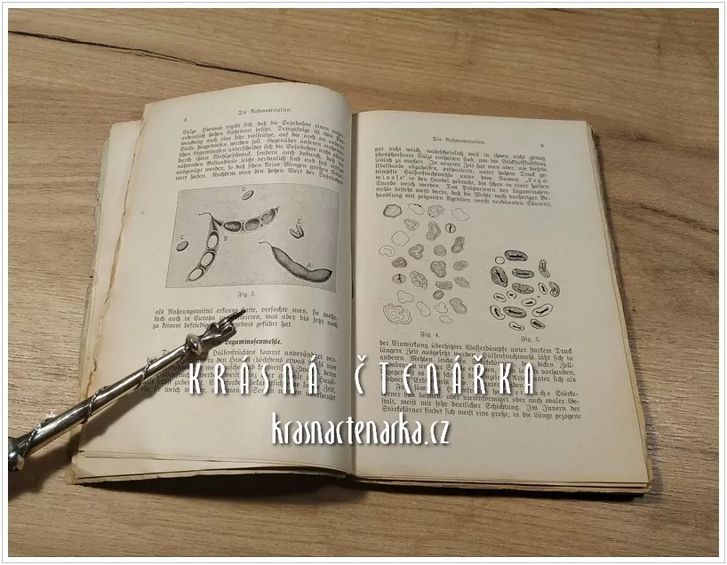 HERSTELLUNG VON FLEISCHERTRAKT BOUILLONWÜRFELN, SUPPENWÜRFELN UND SUPPENWÜRZE (Hildebrand Otto)