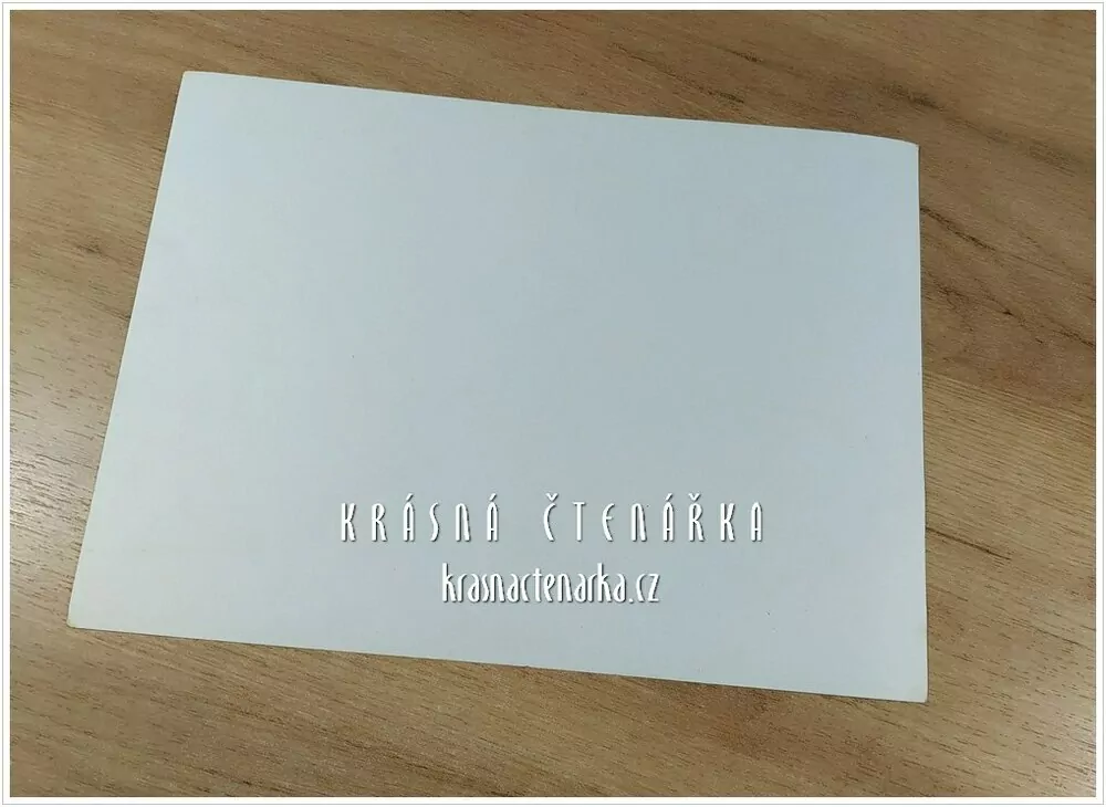 LIBEREC (Oprava domů u radnice)