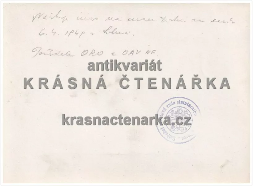 LIBEREC  (Nástup mas za manifestaci za mír v roce 1949)