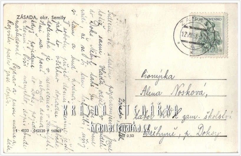 ZÁSADA, Škola