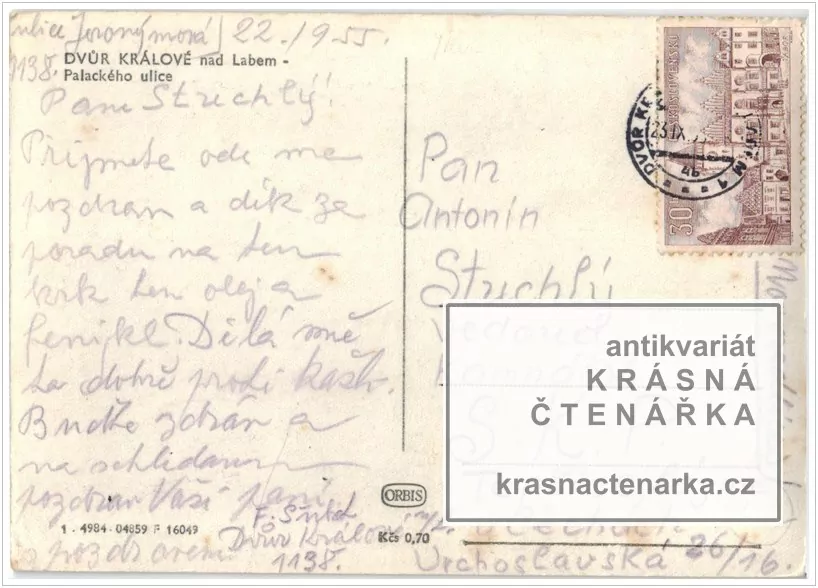 DVŮR KRÁLOVÉ NAD LABEM (Náměstí s autobusy)