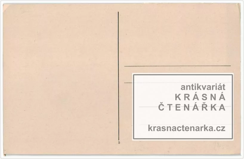 JANSKÉ LÁZNĚ (Pohled na střed města)