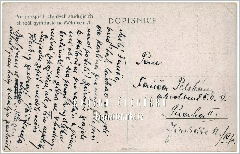 MĚLNÍK, Gymnázium i se studenty, nyní ZŠ