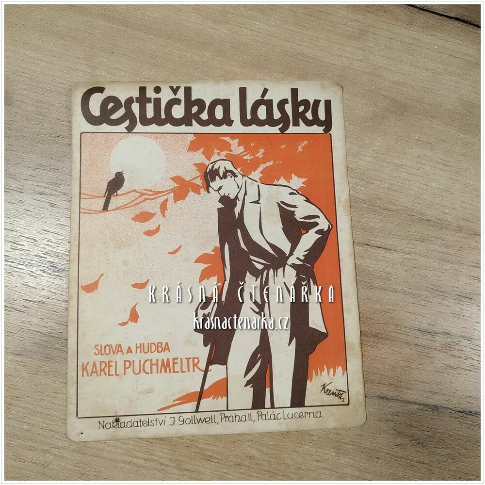 Píseň CESTIČKA LÁSKY