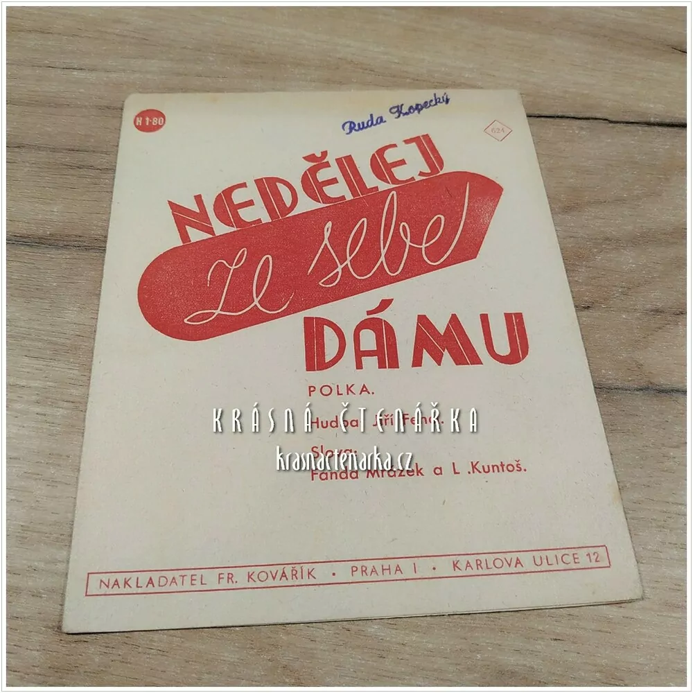 Píseň NEDĚLEJ ZE SEBE DÁMU