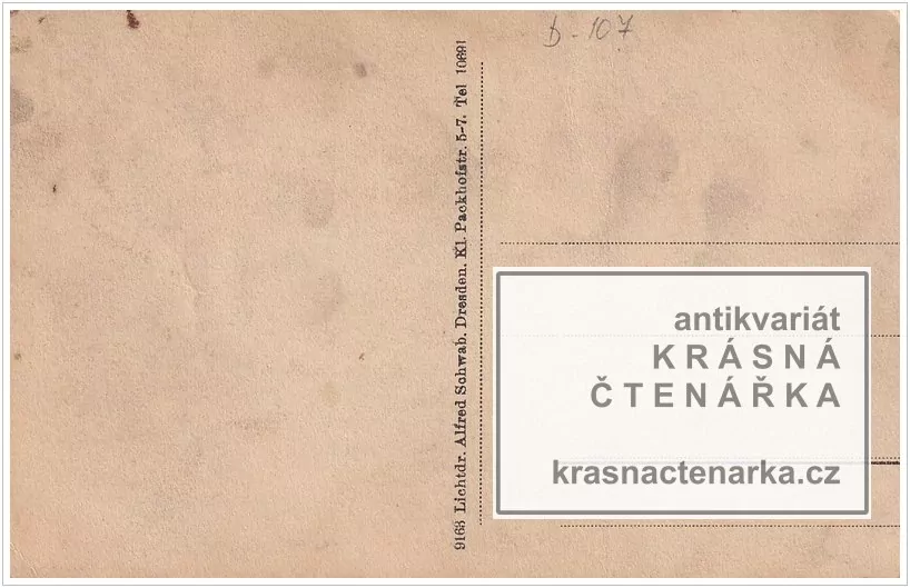 Modernes Gesangs und Spiel-Duo Walter-Philipps