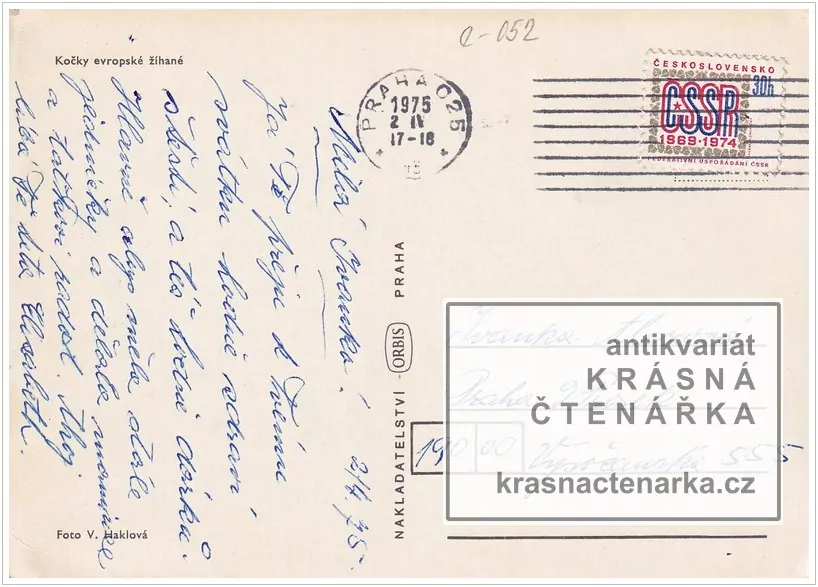 KOČKY