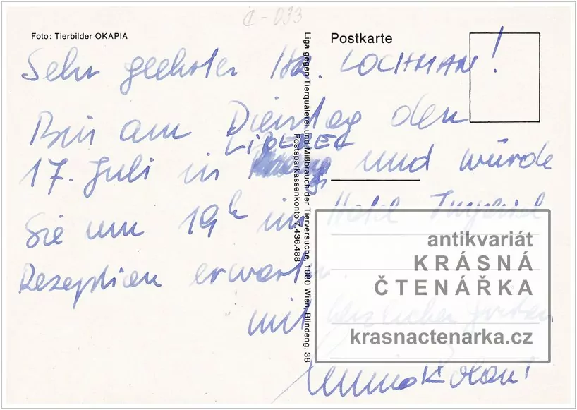 KOČKA