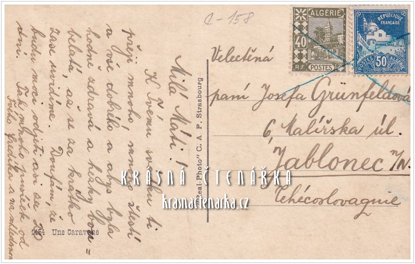 VELBLOUDI, Velbloudí karavana v Alžírsku