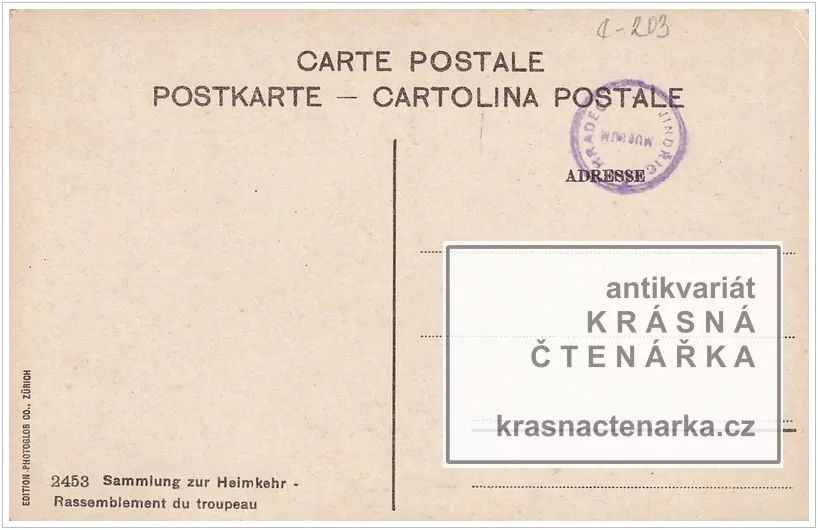 KRÁVY na pastvině i s pasáčkem