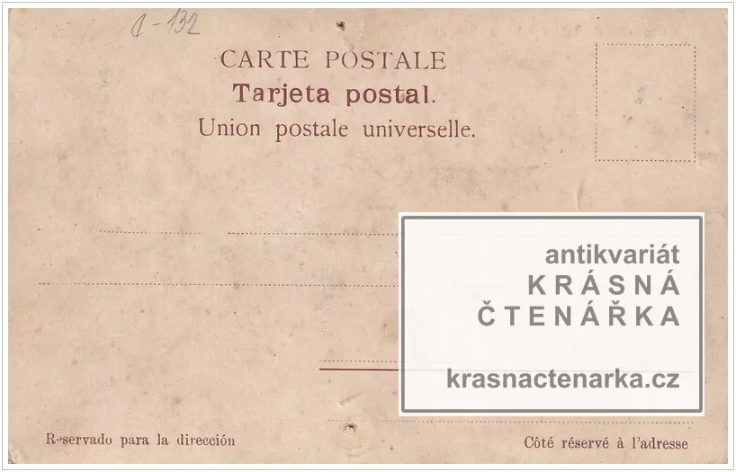 SKOT, Hovězí dobytek v Argentině