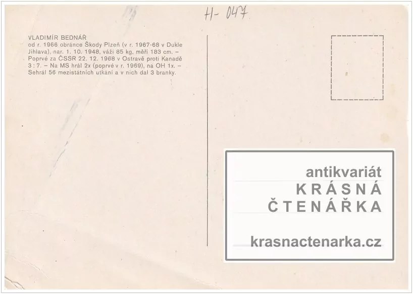 BEDNÁŘ VLADIMÍR (hokej)