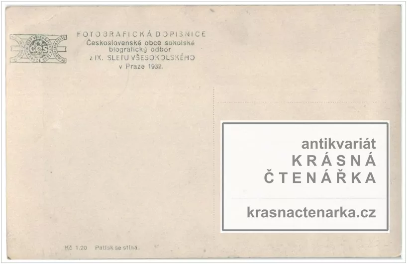 IX. SLET VŠESOKOLSKÝ V PRAZE 1932, Sletová hra "Tyršův sen"