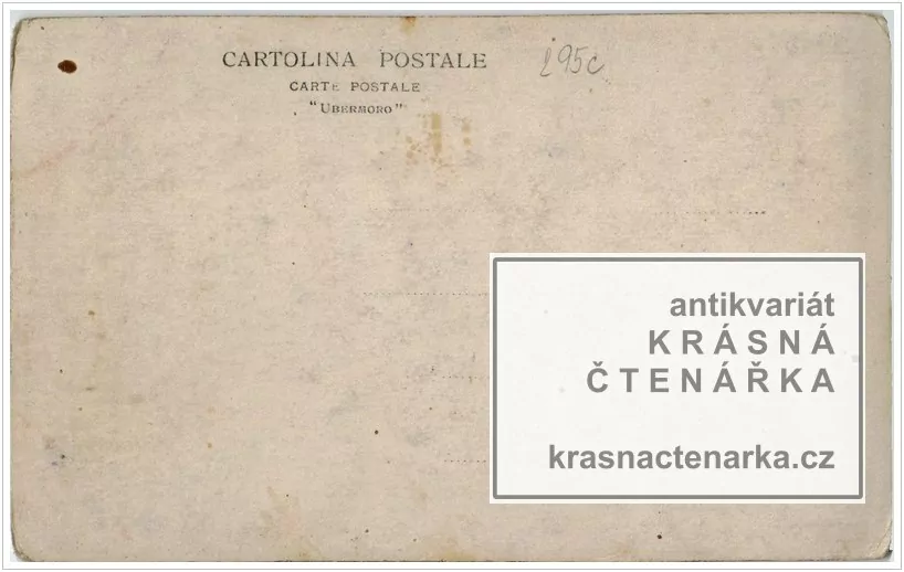 VOJENSKÁ (vojáci, fotografie venku)