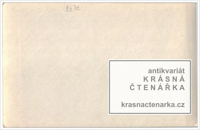 VOJENSKÁ (vojáci, fotografie venku)