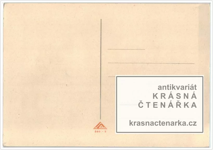 MEDVĚDI zedníci (il. Salač Ludvík Alois)