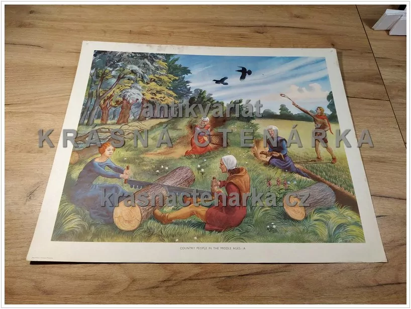 Macmillan's History Pictures: COUNTRY PEOPLE IN THE MIDDLE AGES