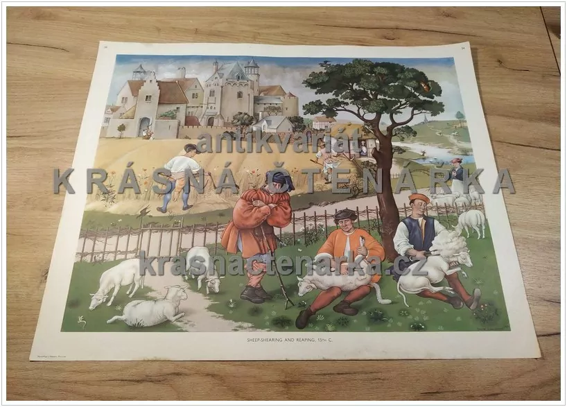 Macmillan's History Pictures: SHEEP-SHEARING AND REAPING, 15th C.