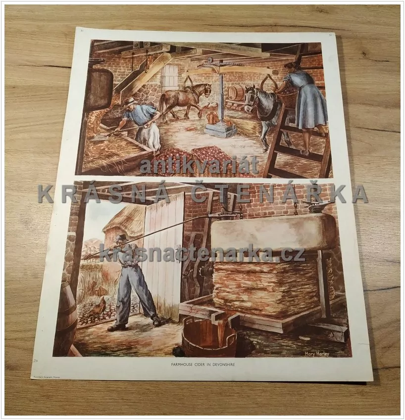 Macmillan's History Pictures: FARMHOUSE CIDER IN DEVONSHIRE