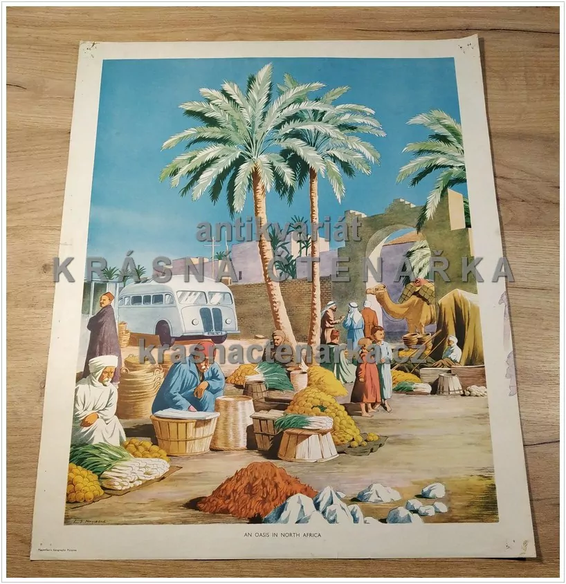 Macmillan's History Pictures: AN OASIS IN NORTH AFRICA