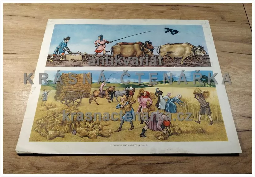 Macmillan's History Pictures: PLOUGHING AND HARVESTING, 14th C.