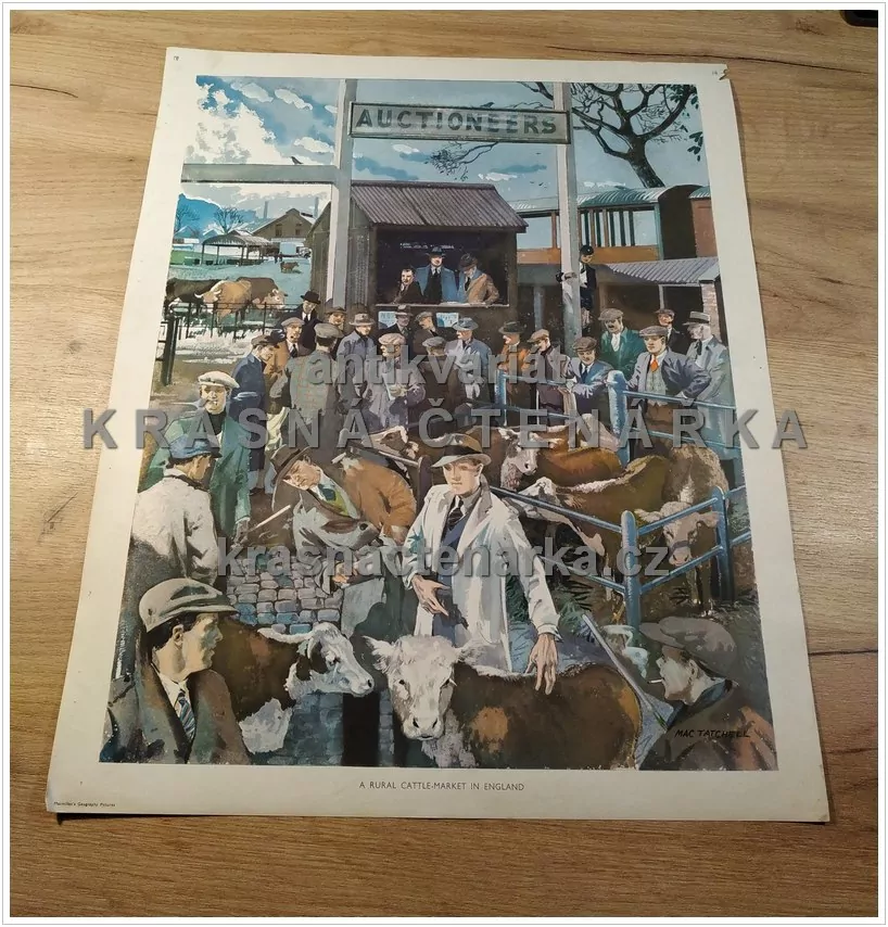 Macmillan's History Pictures: A RURAL CATTLE - MARKET IN ENGLAND