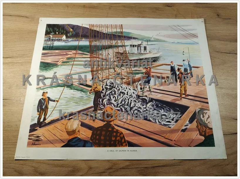 Macmillan's History Pictures: A HAUL OF SALMON IN ALASKA