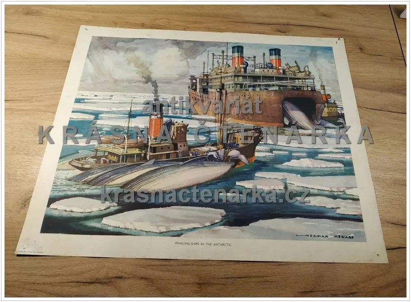 Macmillan's History Pictures: WHALING - SHIPS IN THE ANTARCTIC