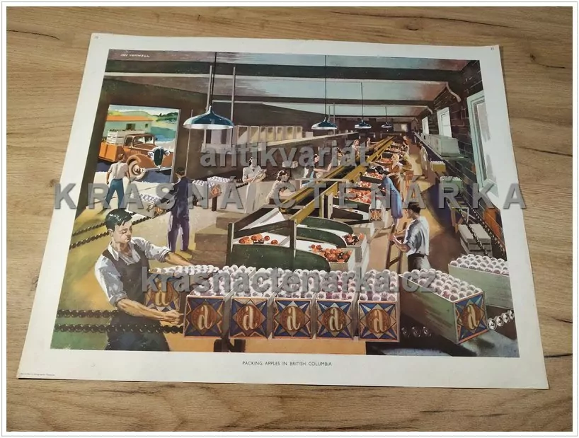 Macmillan's History Pictures: PACKING APPLES IN BRITISH COLUMBIA