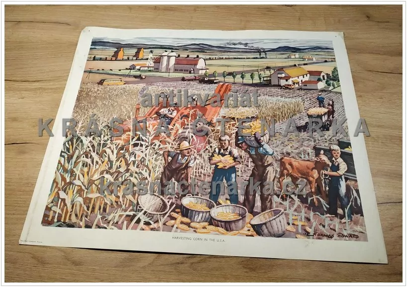 Macmillan's History Pictures: HARVESTING CORN IN THE U.S.A.