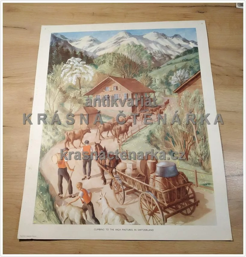 Macmillan's History Pictures: CLIMBING TO THE HIGH PASTURES IN SWITZERLAND
