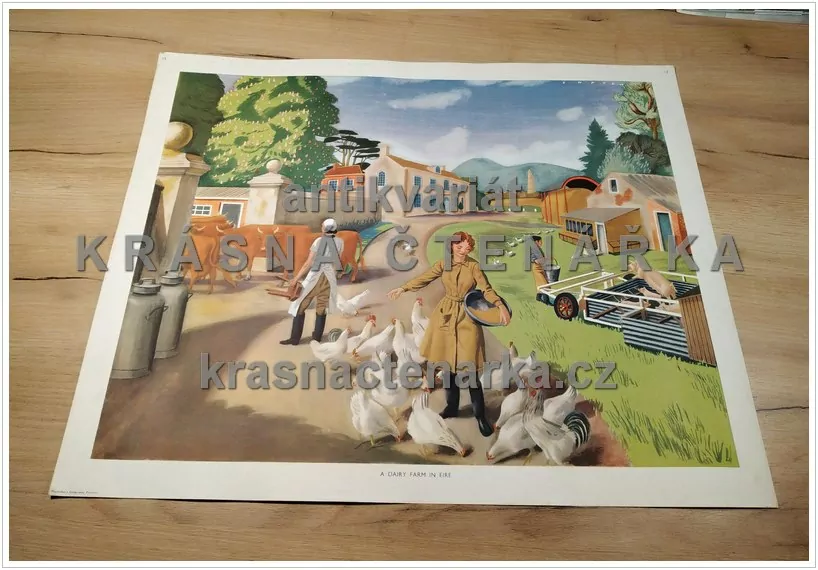 Macmillan's History Pictures: A DAIRY FARM IN EIRE