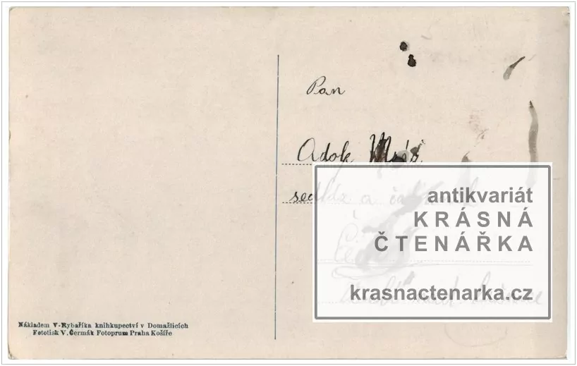 DOMAŽLICE, Pohled z věže na náměstí