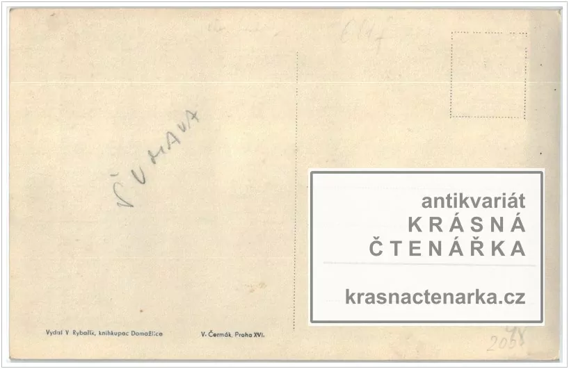 ŠPIČÁK - ŽELEZNÁ RUDA (Pohled na hotel Prokop)