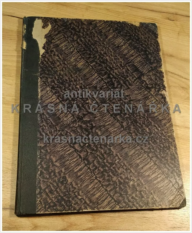 Týdenní noviny pro mládež MLADÝ SVĚT 1936 - 1937, ročník 8. (38 čísel)