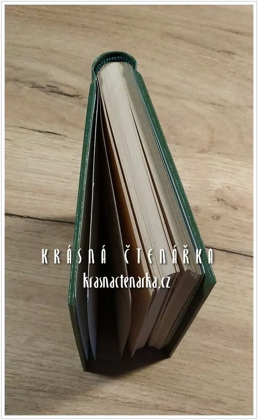 SBÍRKA PRAKTICKÝCH PŘÍKLADŮ, Vojenské kárné právo a řízení před kárným výborem (Kozák Rudolf)